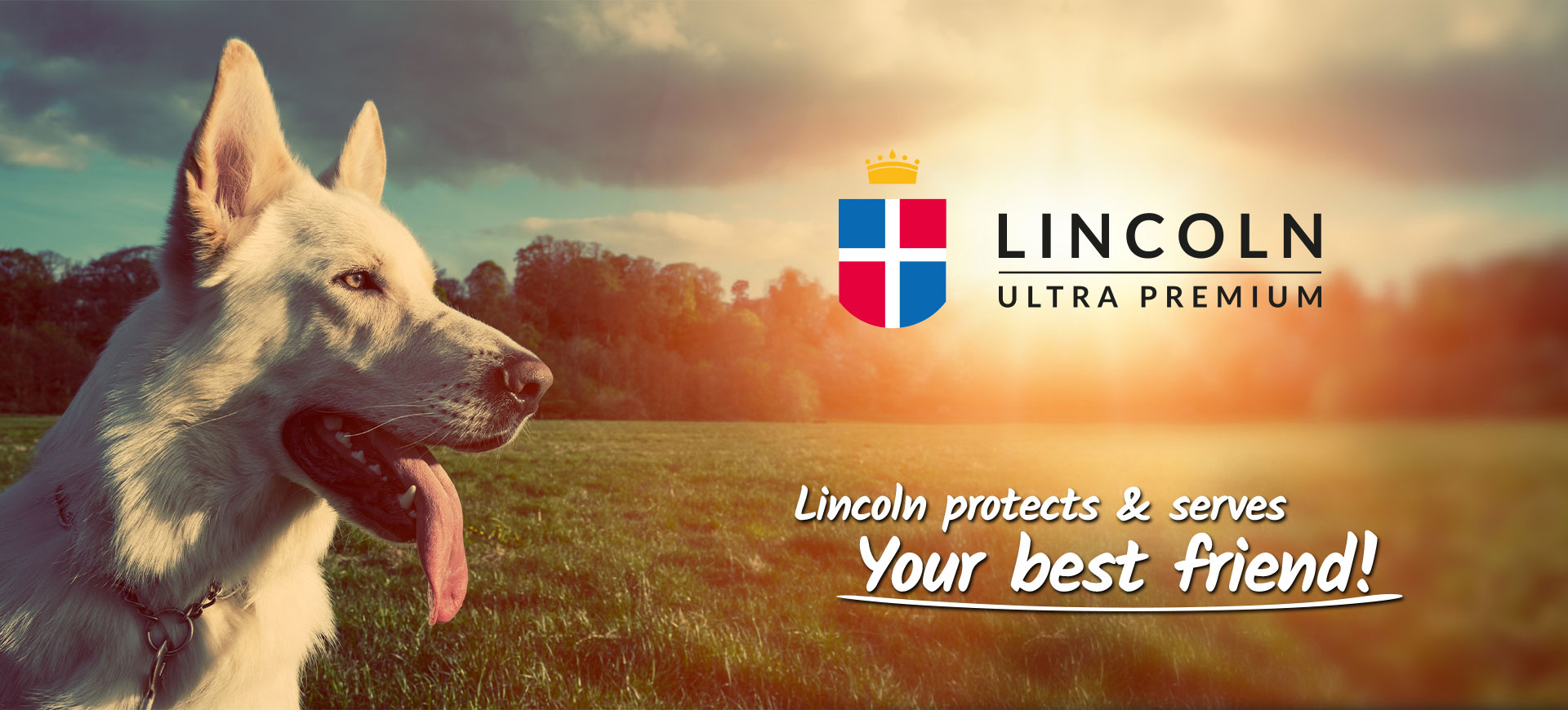 Lincoln Pet - nasz klient - projekty EMENEM studio